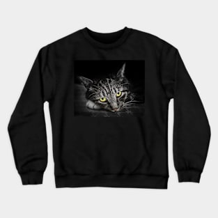 Wizzy Crewneck Sweatshirt